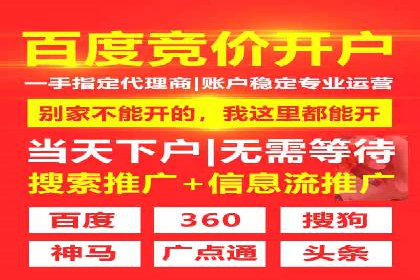 百度SEM竞价推广，案例解析转化率提升秘诀